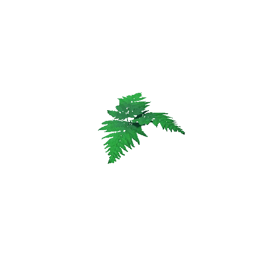 Fern Green Default 08